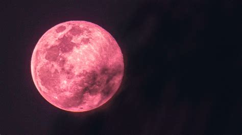 pink moon today